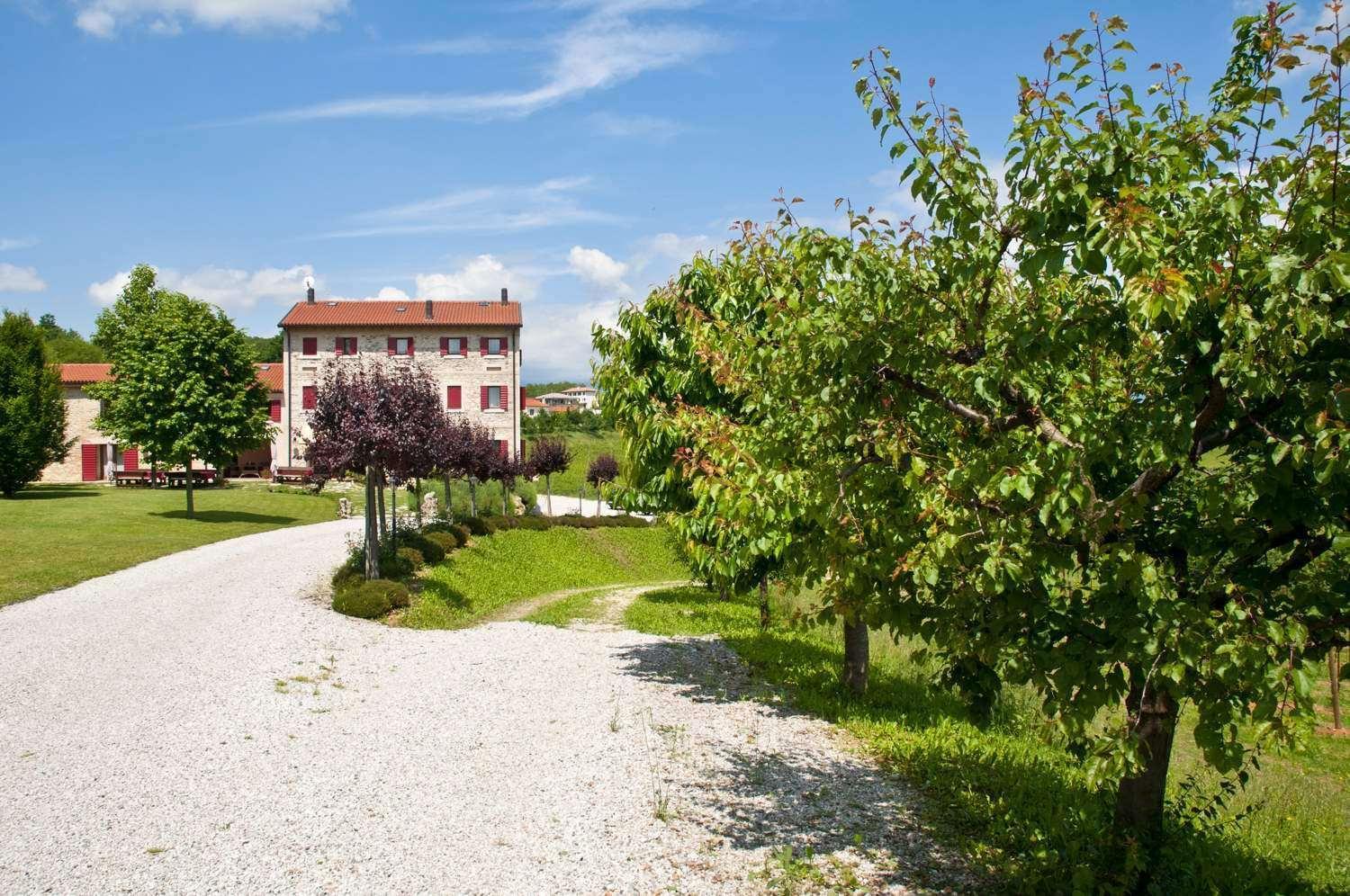 Вілла Agriturismo Prime Gemme Nervesa della Battaglia Екстер'єр фото